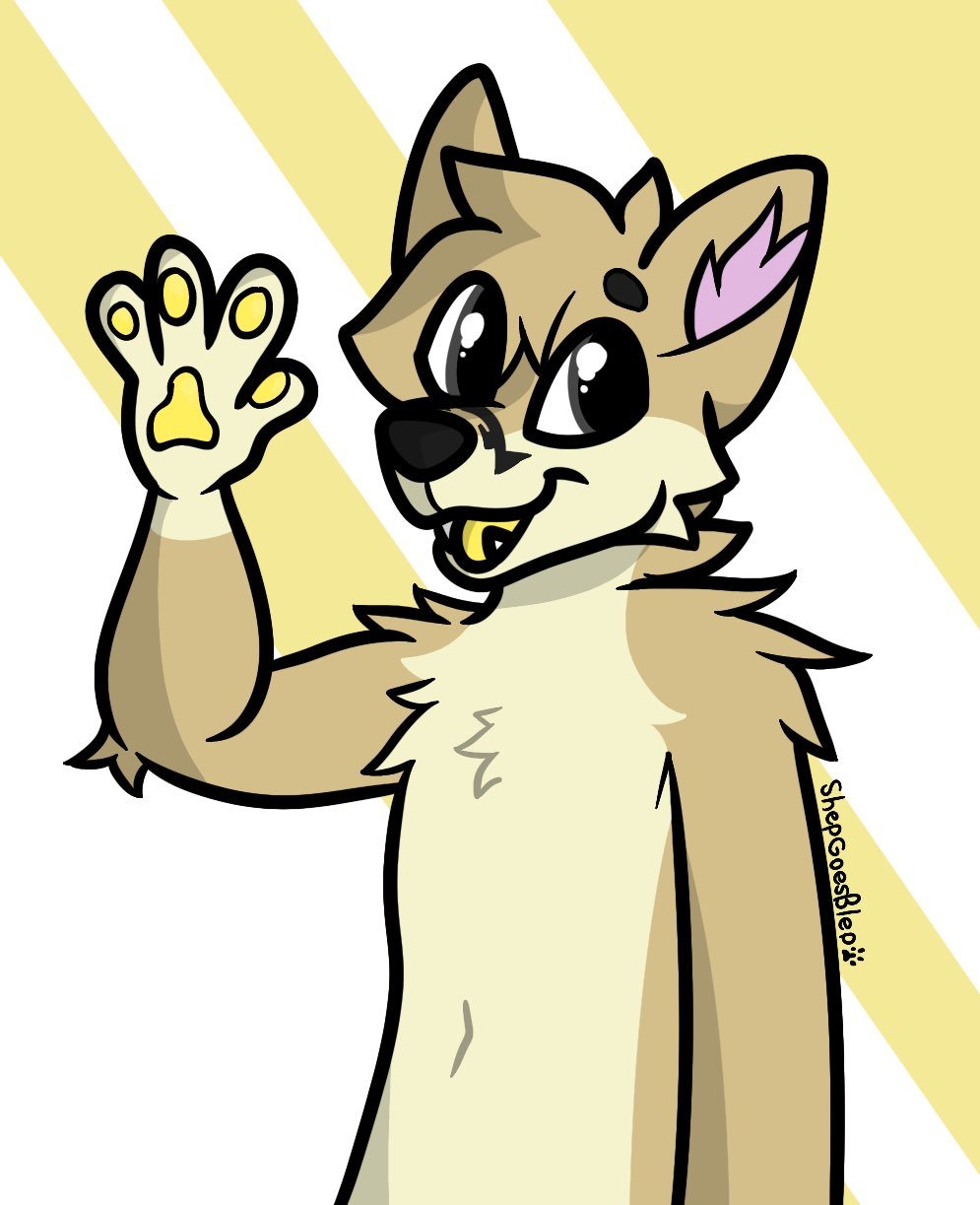 Hello by Shep